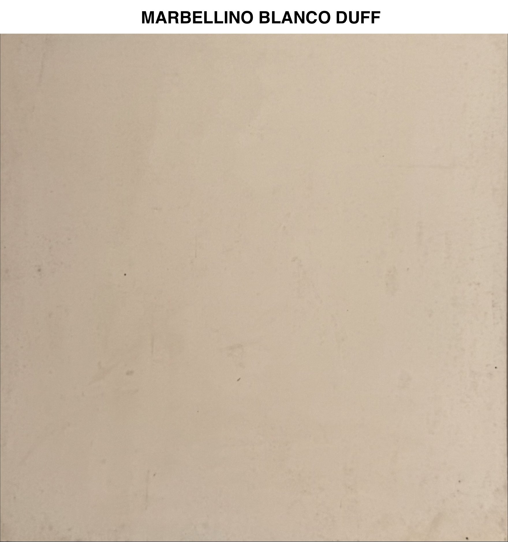 Marbellino — imagen 10