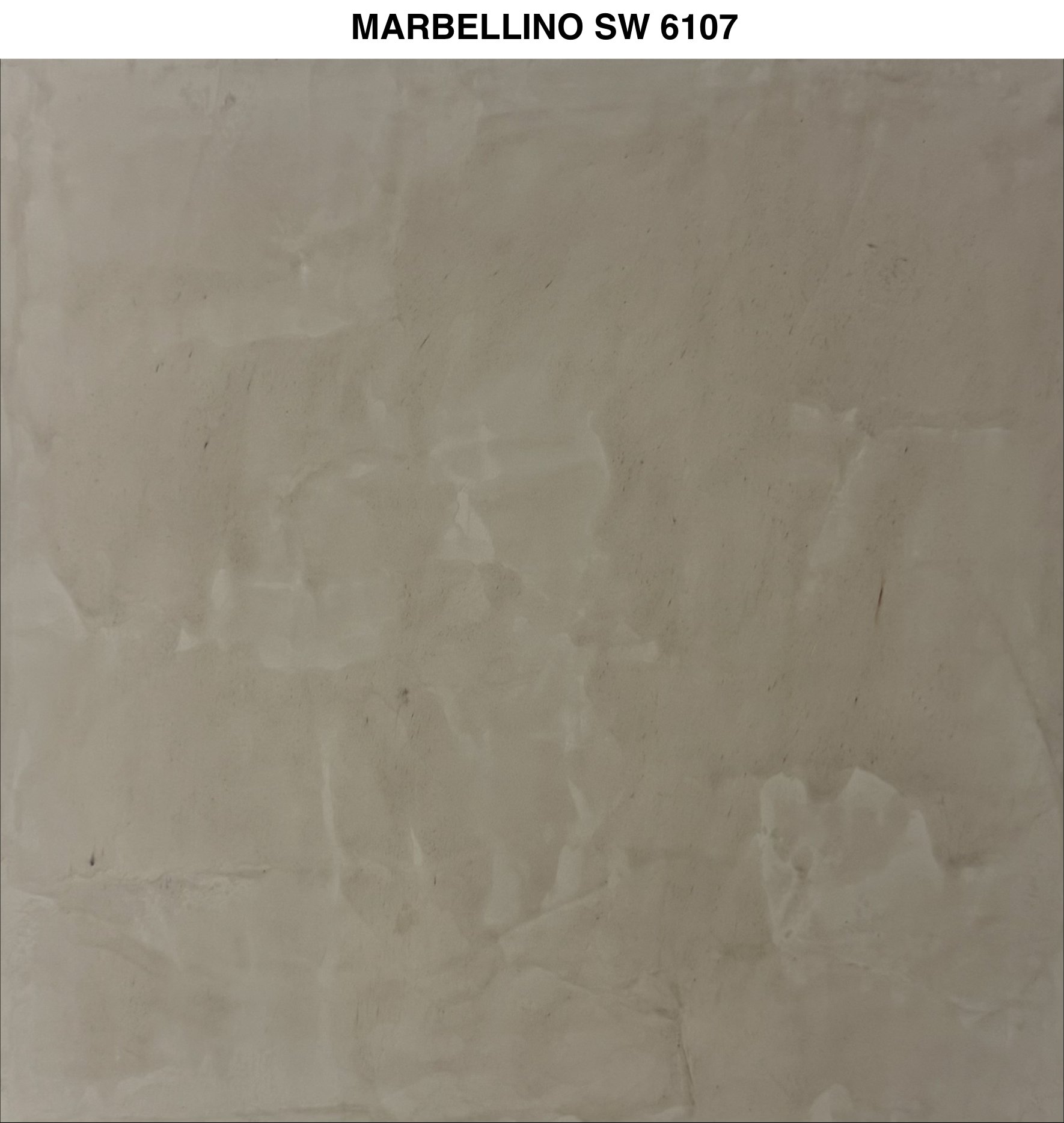 Marbellino — imagen 114