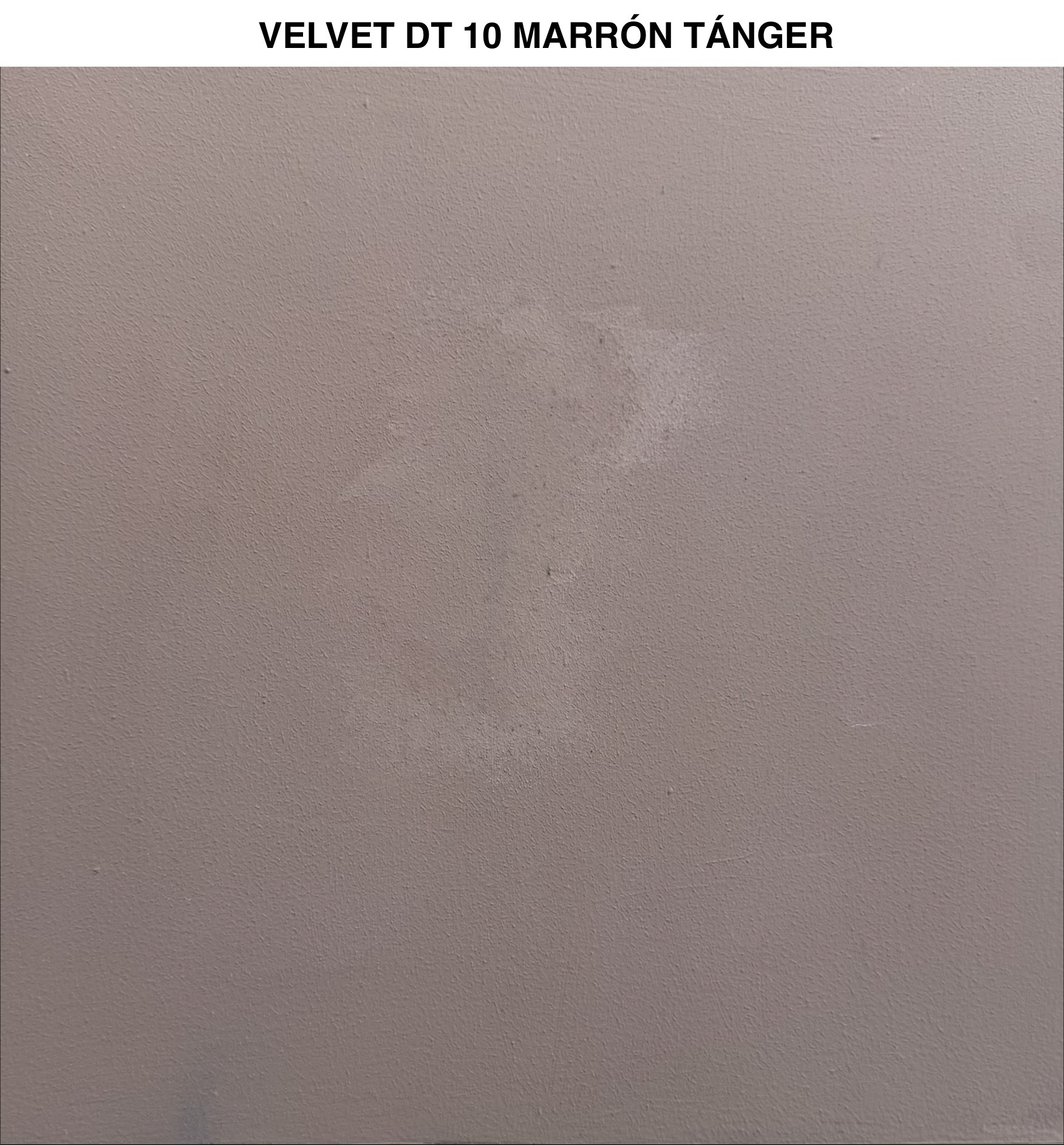 Velvet — imagen 12