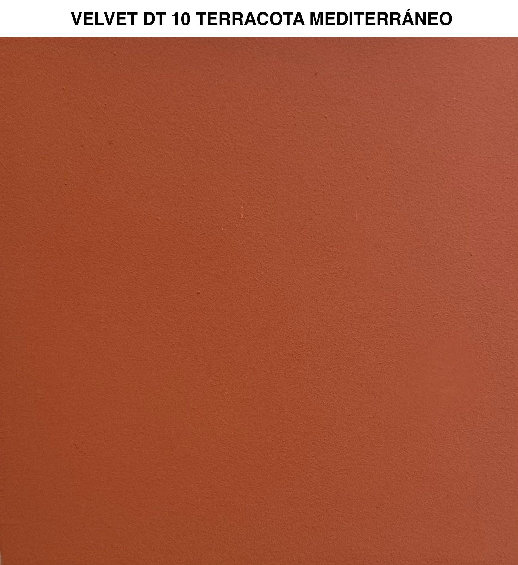 Velvet — imagen 16