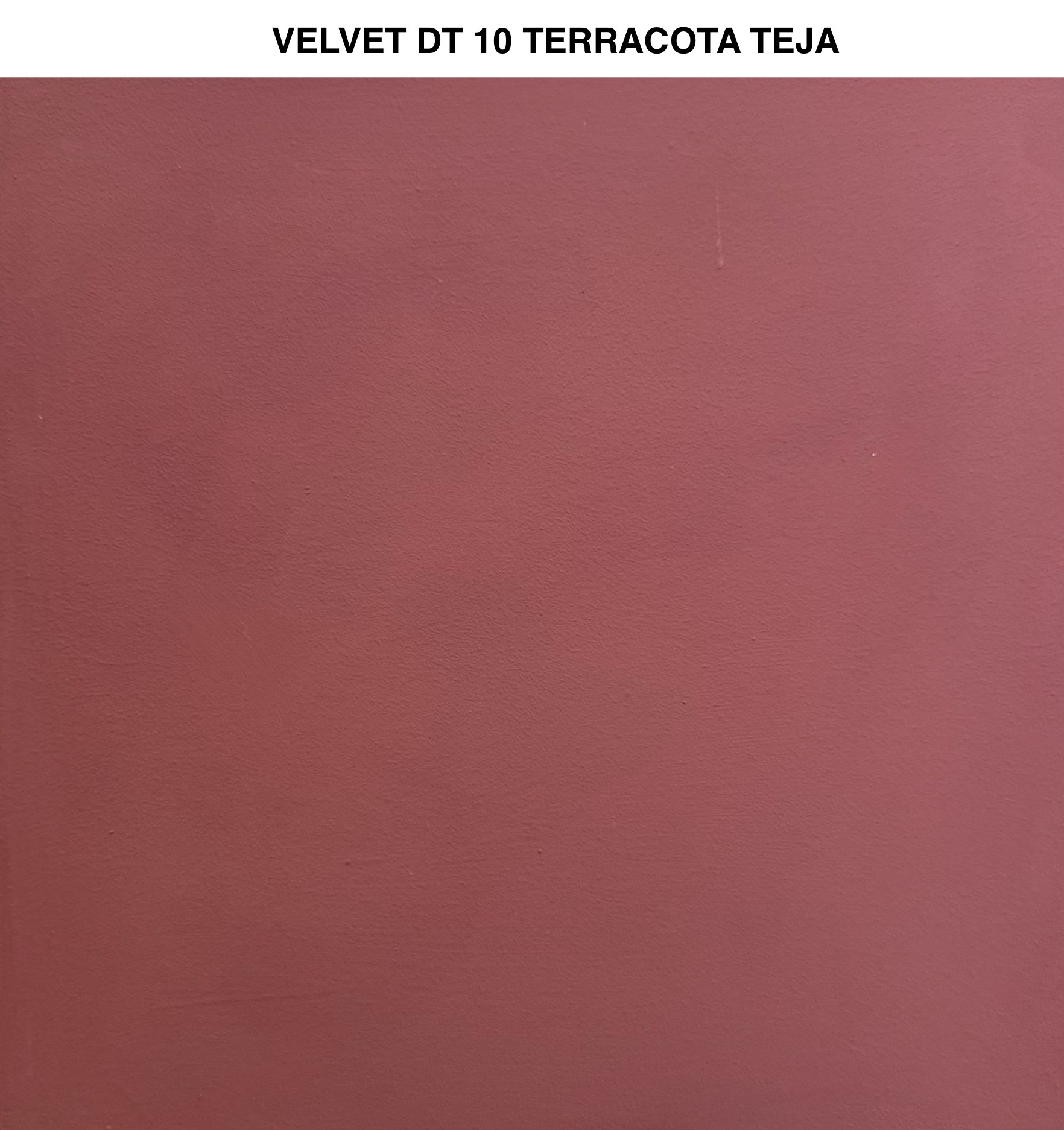 Velvet — imagen 14