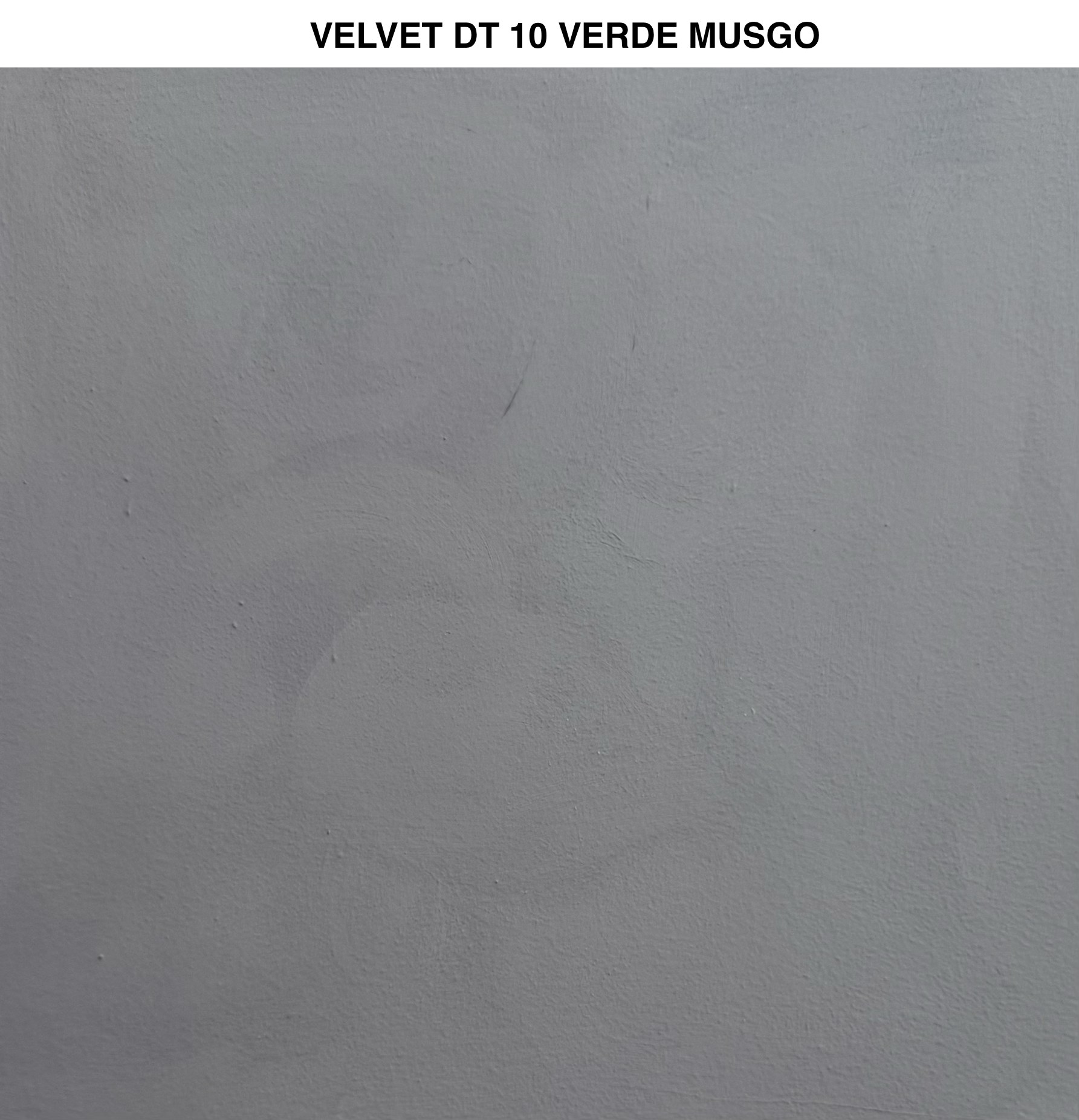 Velvet — imagen 13